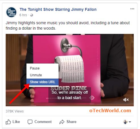 right click on the video and select show video url