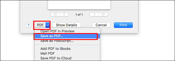 how to open a pdf document in word on mac