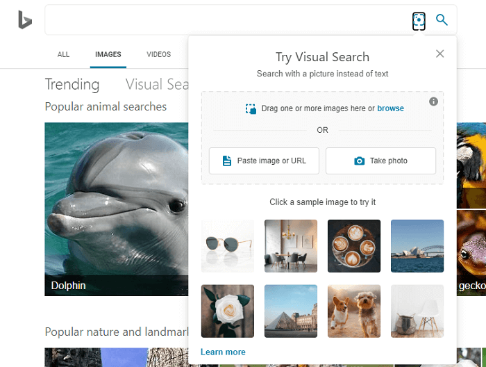Bing Image Match