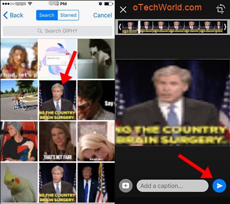 Send GIF In WhatsApp On iPhone