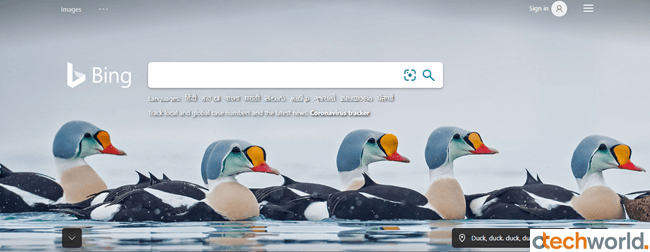 Microsoft Bing search