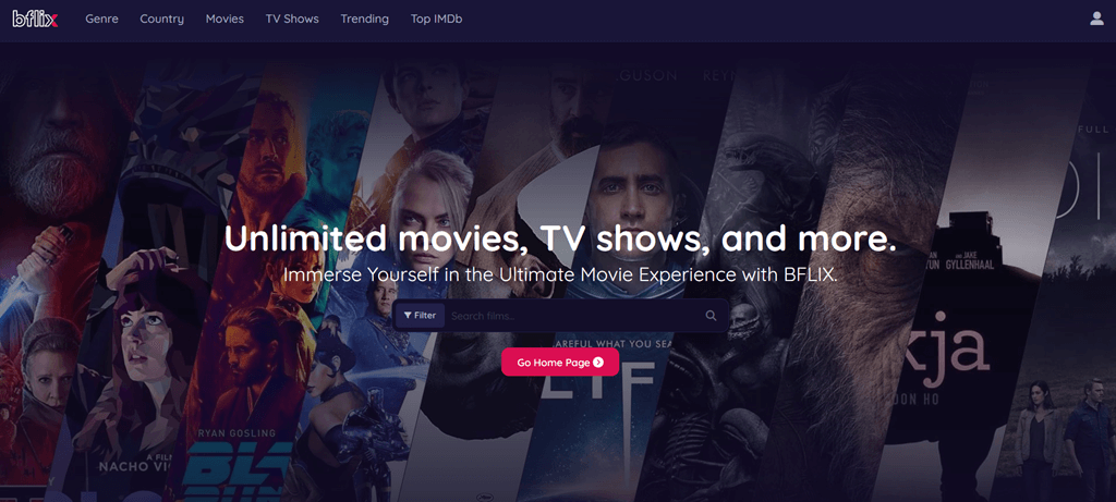 BFlix Screenshot