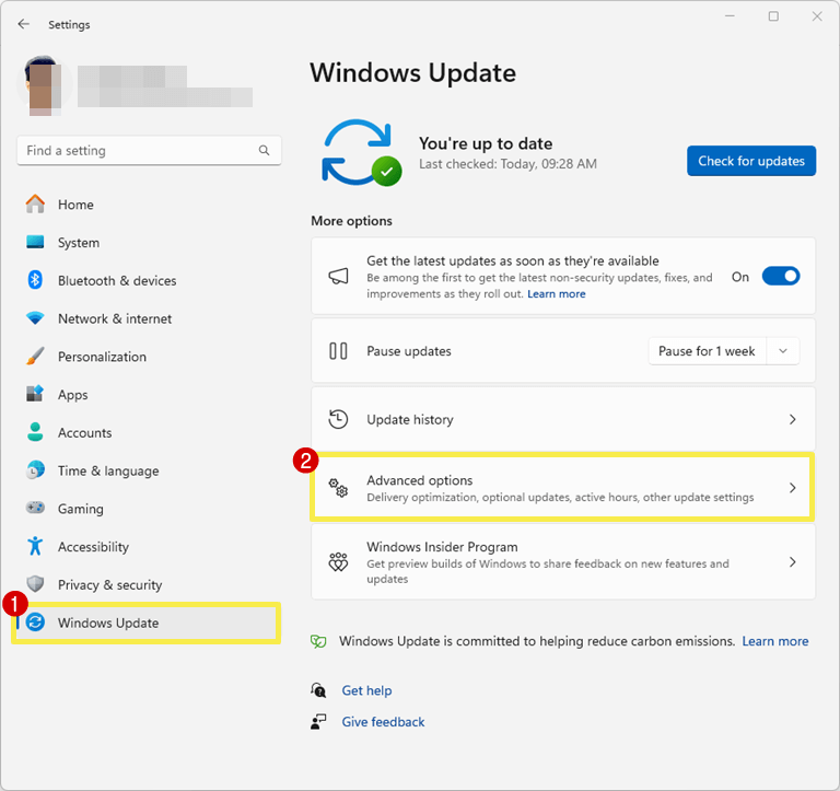 Open Advanced Options from Windows Update