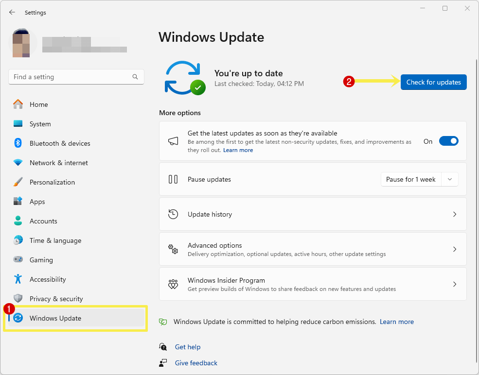Update the Windows 11