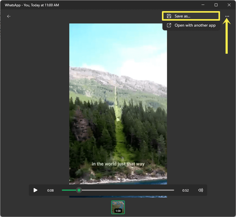 Play video and save it from Menu icon