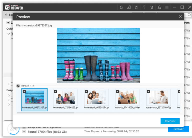 Click on Recover to restore deleted file