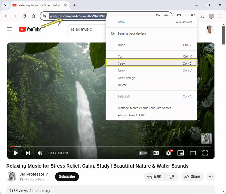 Copy URL from address bar
