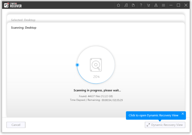 click on the Dynamic Recovery View to preview the files