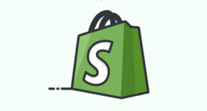 How Shopify Pixel Can Help You Create Powerful Custom Audiences