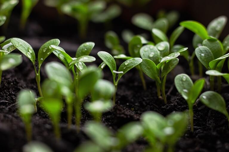 sustainability solutions