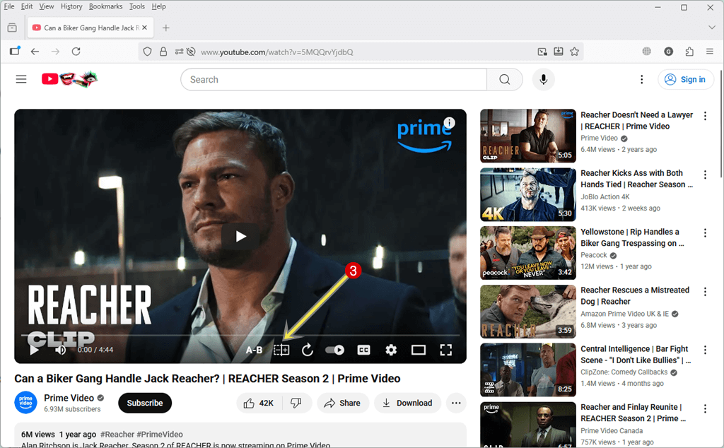 Click on the ZoomMirror icon from the controls