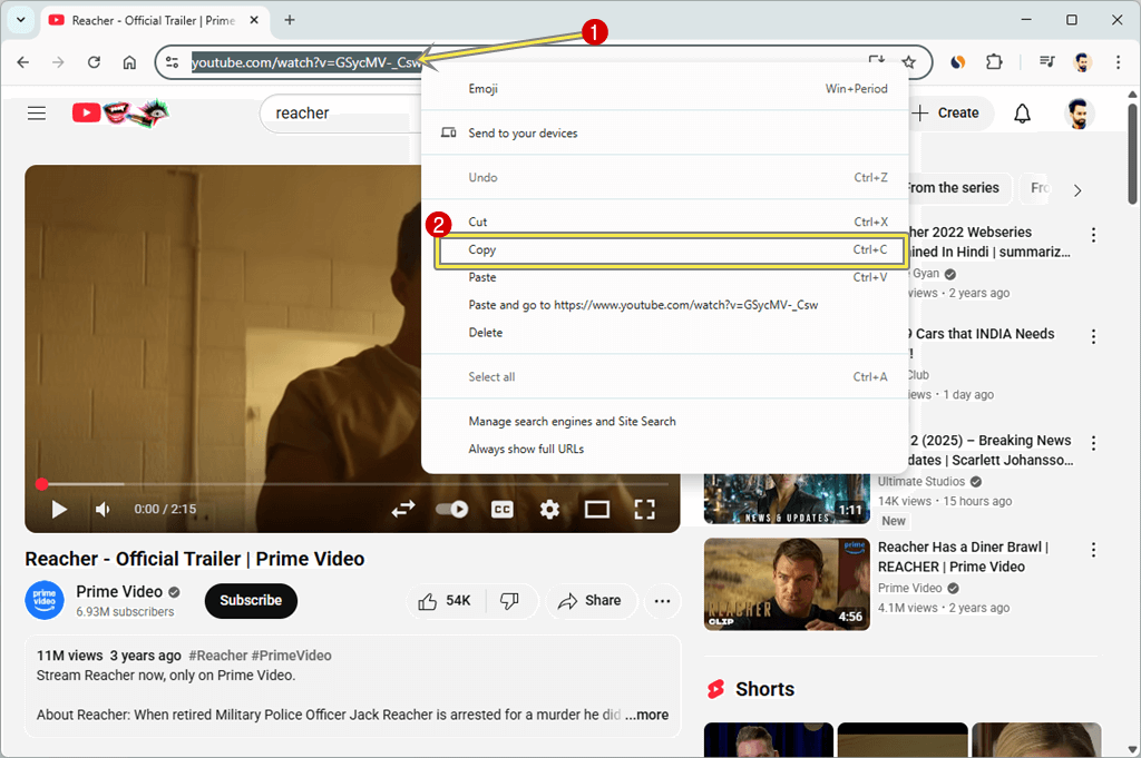 Copy the YouTube video URL from your browser's address bar