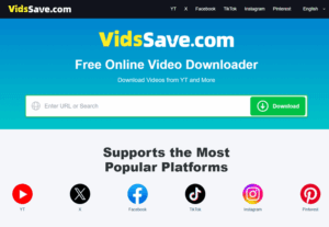 Download Videos and Music Easily with VidsSave