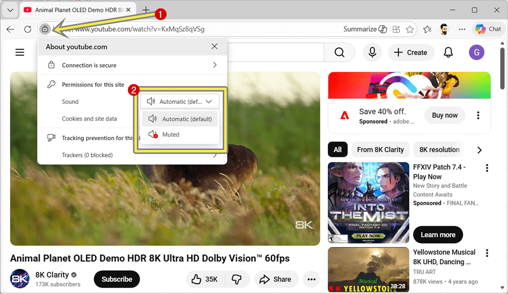 Check Website Sound Permissions in Edge