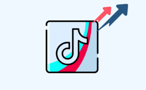 Using a TikTok Growth Platform Alongside Daily Posting
