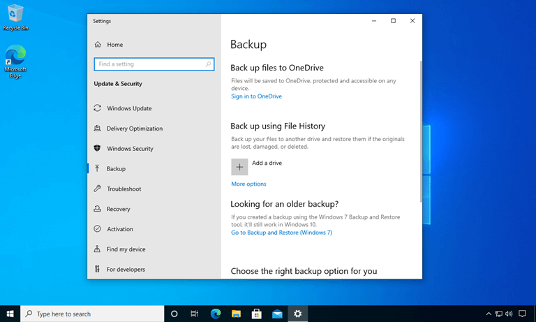 Backup Critical Files