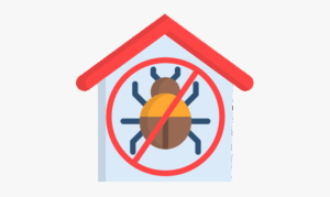 How Preventive Pest Control Protects Homes Year-Round
