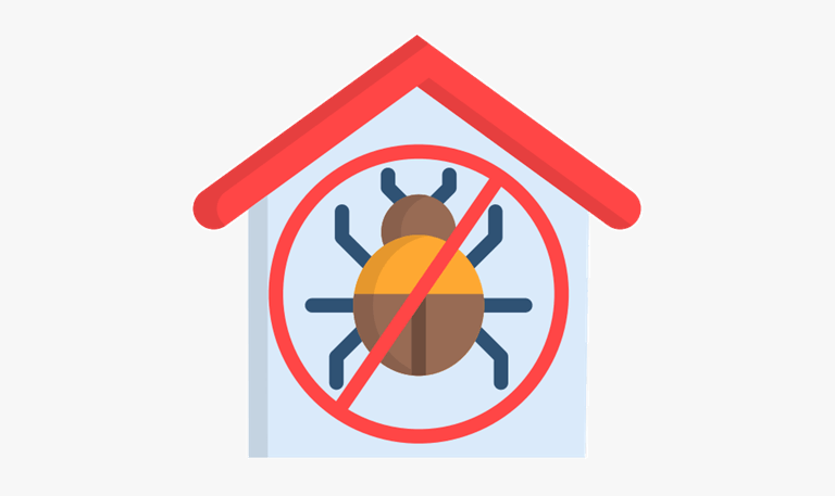 How Preventive Pest Control Protects Homes Year-Round