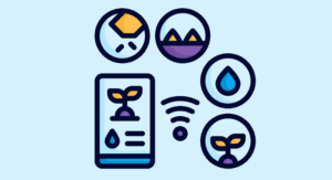 Key Steps for Transitioning to Digital Farming