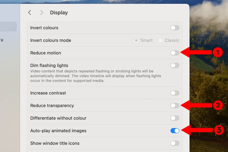 Reduce Visual Effects and Animations