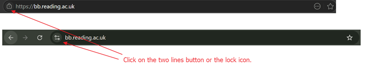 Step 1 Click on the “2 lines” icon for Chrome or the “Lock” button for Edge. 