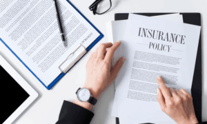 Insurance Terms Every Startup Founder Should Understand Before Buying Coverage