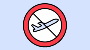 Passenger Options Following a Flight Cancellation