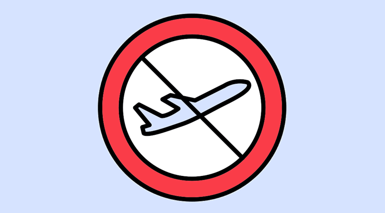 Passenger Options Following a Flight Cancellation