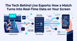 It's a great example of what really makes up the “invisible infrastructure” that modern esports operates on. It's the players and the highlights that you're focused on, but you're never the first one to see them, unless a layer of software passes the data from a game server to a screen on the far side of the world.
