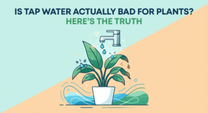 Is Tap Water Actually Bad for Plants Here's the Truth