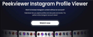 Peekviewer Review Tested on 50 Instagram Creators