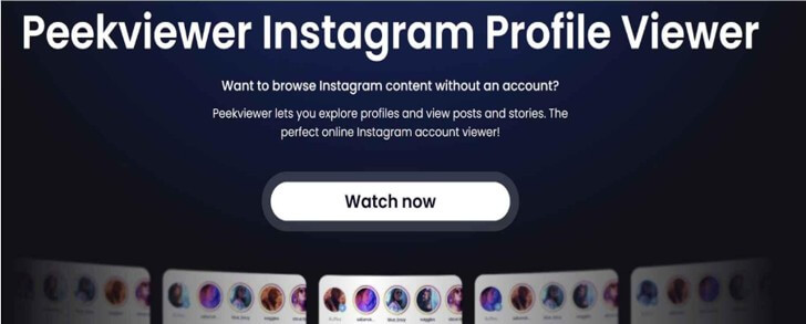 Peekviewer Review Tested on 50 Instagram Creators 