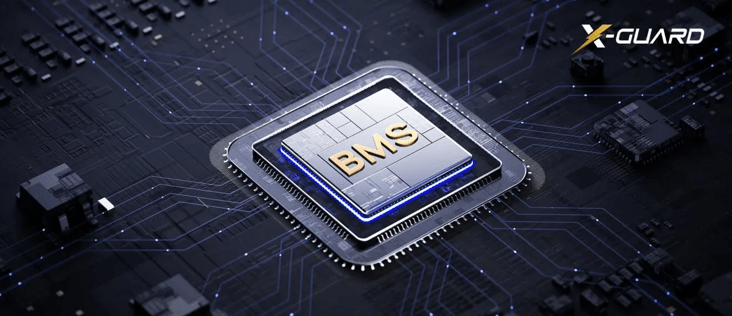 Role of the Battery Management System (BMS)