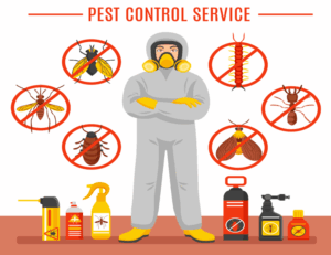 Top Reasons To Choose Professional Pest Control