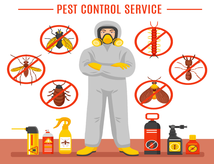 Top Reasons To Choose Professional Pest Control