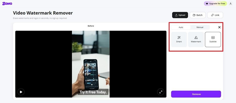 Video watermark remover