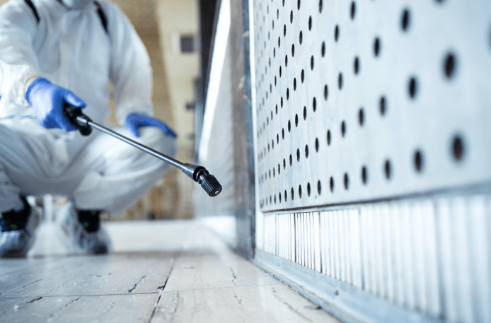 What Does Professional Pest Control Involve