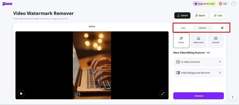 auto and manual modes video watermark remover