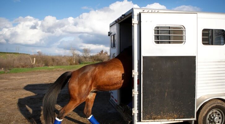How to Choose the Right Livestock Trailer for Your Farm
