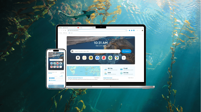 How to Set Up Wave Browser for a More Organized Browsing Experience