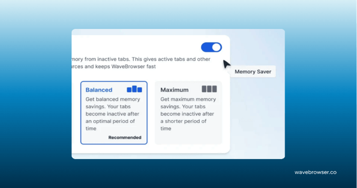Review Memory Saver and performance settings