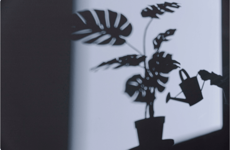 How Shadow Work Can Help You Find Greater Emotional Freedom