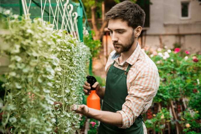 How Can Landscaping Choices Affect Pest Control Around Your Home